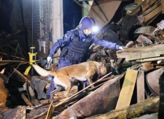 В Харькове горело «Барабашово» и разрушен дом: последствия ночной атаки РФ (фото)