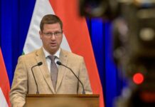 Правительство Орбана решило платить пенсионерам 14-ю пенсию. Весной в стране выборы