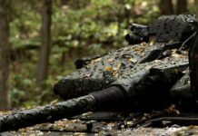 1359 г. день полномасштабной войны. Удар по русскому Орлу. Ситуация в Покровске. Заявление министров G7 по Украине