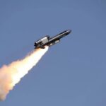 Украинские военные получили партию «Фламинго»: новые фото крылатых ракет