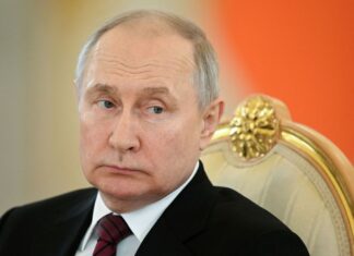 Путин обозвал европейских политиков «свиньями», — Reuters