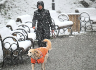 Потепление откладывается: синоптик предупредила о затяжных морозах в Украине