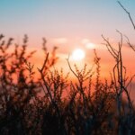 Ближайшая ночь в Украине завершает период «февраль стужи»