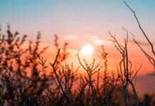 Ближайшая ночь в Украине завершает период «февраль стужи»