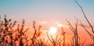 Ближайшая ночь в Украине завершает период «февраль стужи»