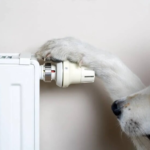 Платите сейчас, экономия — потом? Вскрылась циничная схема повышения тарифов на тепло