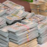 И.о. главы Госэкоинспекции заявил, что нашел $653 000 в гараже бабушки. Его проверит ГБР