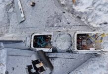 Флеш: Россия впервые применила беспилотник «Гербера» как платформу для FPV-дрона – фото