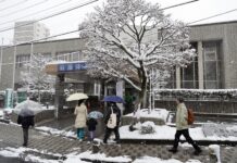 В Японии проходят досрочные парламентские выборы. Победу прогнозируют действующему премьеру