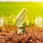 Земельный рынок: количество крупных собственников в Украине сократилось на треть