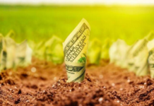 Земельный рынок: количество крупных собственников в Украине сократилось на треть