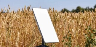 Starlink заблокировали у россиян