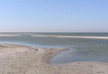 оккупанты планируют развивать туризм на Белосарайской косе