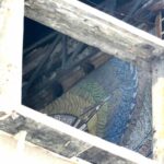 В разрушенном Мариуполе уцелела часть мозаики «Боривитер», – ФОТО