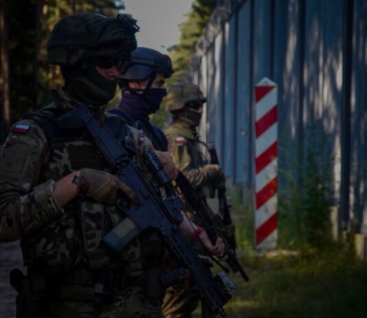 Rzeczpospolita: Польша проведет учения, имитирующие внешнее военное вторжение