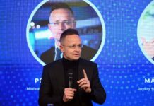 WP: Сийярто звонил Лаврову во время перерывов на заседаниях ЕС, предоставляя «живые отчеты»