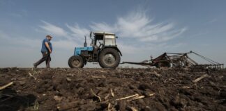 Небанковские финучреждения будут выдавать кредиты фермерам под гарантии государства – список