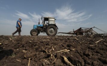 Небанковские финучреждения будут выдавать кредиты фермерам под гарантии государства – список