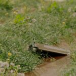 Флеш показал кадры сброса мин с «шахеда» – видео