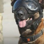 1484 г. день полномасштабной войны. Под ударом Одесщина, Харьковшина и мирные переговоры