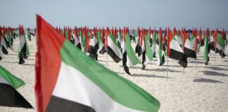 ОАЭ пообещали присоединиться к оборонной миссии США в Ормузском проливе