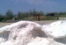 В Херсонской области под видом «инвестиций» раздают недра: соль из Геническа будут вывозить в Россию