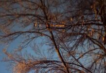 В оккупированном Донецке взорвали автомобиль «стража», — ФОТО