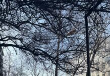 РФ ударила авиабомбами по Славянску. Есть погибшие, – ФОТО