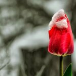 В Мариуполе в конце апреля выпал снег, — ВИДЕО