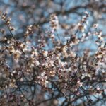 Когда в Украине наконец-то потеплеет