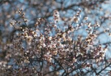 Когда в Украине наконец-то потеплеет