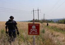 Опасные «камешки». Россияне применяют новый тип мин, в частности в Никополе