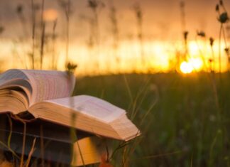 В США и Британии растет популярность книжных ретритов: люди платят по $1000