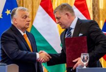 Перед решающими выборами за Орбана выступил его пророссийский «коллега» из ЕС