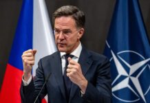 Рютте рассказал об эффективности чешской инициативы боеприпасов для Украины