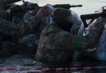 1503 г. день полномасштабной войны. Силы Обороны освободили 5,7 км в Харьковской области и подожгли Новороссийск. Враг ударил по Одессе. Есть погибшие.