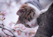 Ветер, заморозки и мокрый снег: синоптик предупредила о резком ухудшении погоды