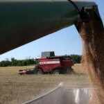 Украинский агробизнес в прошлом году увеличил доходы на 7%