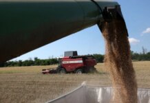 Украинский агробизнес в прошлом году увеличил доходы на 7%