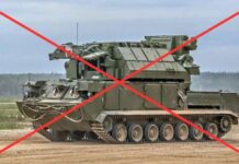 Под Мариуполем «Птицы Мадяра» уничтожили «Тор» окупантов