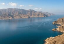 Украина делится опытом разблокирования Ормузского пролива