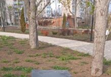 «Патриот» с запахом: в Мариуполе новый парк превратился в выставку переполненных урн, – ФОТОФАКТ