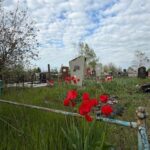 В Мариуполе на могиле обустроили собачью будку, — ВИДЕО