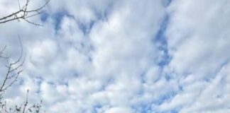 В Мариуполе на могиле обустроили собачью будку, — ВИДЕО