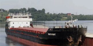 Возле оккупированной Херсонщины затонуло российское судно с пшеницей: что известно