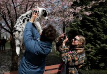 Погода существенно не изменится, но немного потеплеет: прогноз в Украине на неделю (карты)