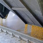 Тысячи тонн зерна «всплыли» в Иране и Египте: НАБУ выкрыло масштабную коррупционную схему