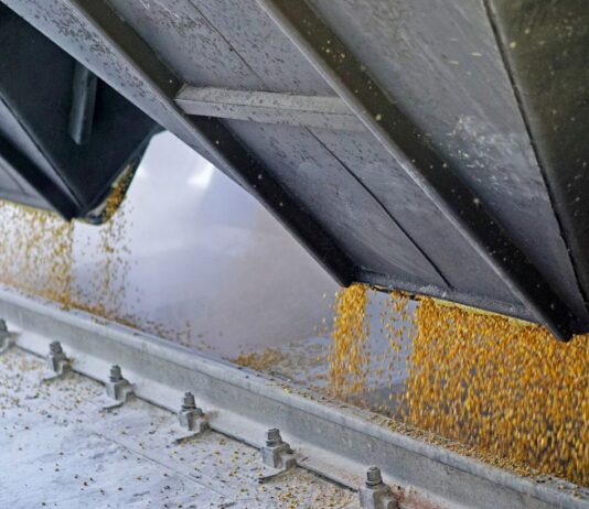 Тысячи тонн зерна «всплыли» в Иране и Египте: НАБУ выкрыло масштабную коррупционную схему