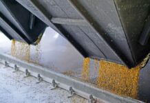 Израильский импортер отказался от ворованного зерна из-за угрозы санкций, — СМИ