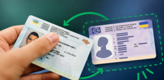 Водителям назвали разницу между обменом и восстановлением прав: когда какая услуга нужна